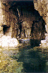 Le grotte del bue marino, verdissime e bellissime queste grotte sotto il golfo della mezzaluna